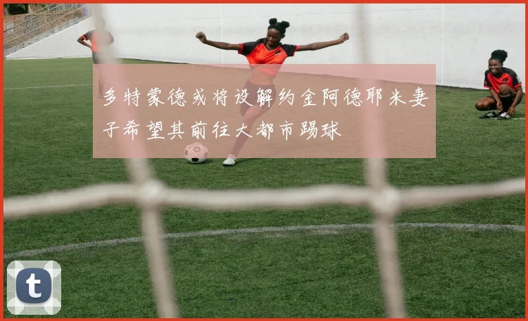 多特蒙德或将设解约金阿德耶米妻子希望其前往大都市踢球