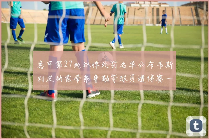 意甲第27轮纪律处罚名单公布韦斯利皮纳蒙蒂弗鲁勒等球员遭停赛一轮
