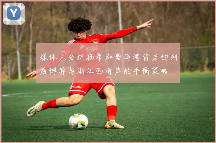 媒体人分析杨希加盟海港背后的利益博弈与浙江西海岸的平衡策略