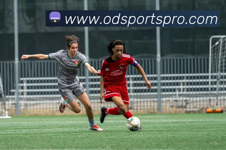 OD体育平台生态图